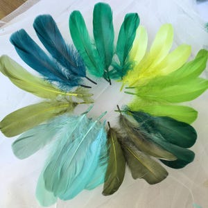 Wholesale Natural Real Dyed Stripped Goose Feathers for Millinery Fascinators Hat Making Crafts DIY 10/25/50/75/100 PCS 5-6" Length
