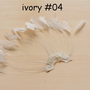 Ivory Stripped Coque Feather Fan Dyed Plume Feathers Fringe Trimmings for Fascinators & Hat Making Millinery Supplies Party Decor 1 Piece
