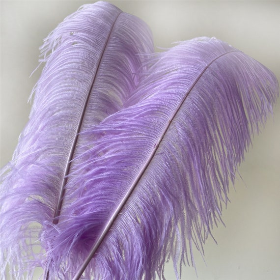 10Pcs Purple Ostrich Feathers Centerpieces for Wedding Tables Holiday  Decoration Diy Accessories Carnival Natural Long Feather