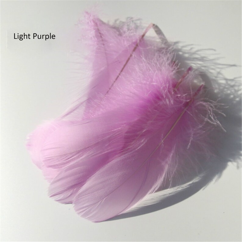 May include: Several light purple feathers are arranged on a white surface. The feathers have a soft, fluffy texture and a delicate appearance. The text "Light Purple" is in the upper left corner.