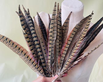 Natural Ringneck Pheasant Tail Feathers Millinery Fiscinator DIY Craft Stage Performance Decoration