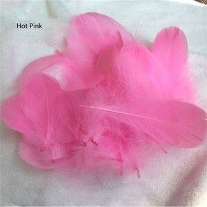 May include: A cluster of hot pink feathers, with a soft, fluffy texture. The feathers vary in size and shape, with a few long, slender ones extending from the main cluster. The text "Hot Pink" is in the upper left corner.
