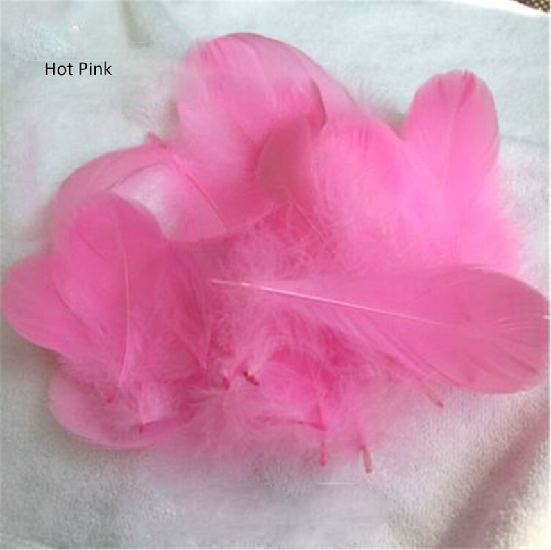 May include: A cluster of hot pink feathers, with a soft, fluffy texture. The feathers vary in size and shape, with a few long, slender ones extending from the main cluster. The text "Hot Pink" is in the upper left corner.