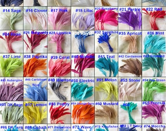 80 Colors Natural Stripped Coque Feathers for Millinery & Fascinators Hat Making Headpiece Dyed Rooster Feather 5-7 " 10/25/50/75/100 PCS