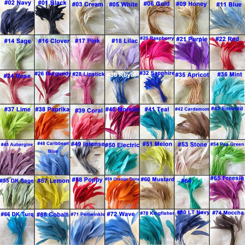 80 couleurs de plumes naturelles dénudées pour la chapellerie et les bibis, fabrication de chapeaux, plumes de coq teintes 5-7 25/10/50/75/100 pièces image 1