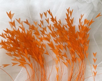 80 Colours Tipped Stripped Coque Feather Burnt Feather Wired Fascinator Millinery for Hat Moun