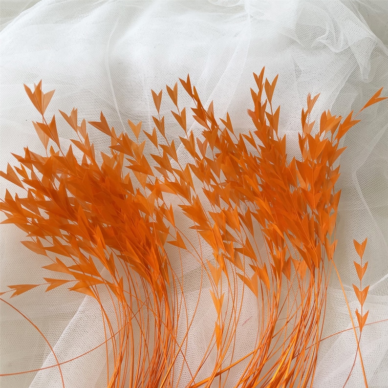 May include: A bunch of orange feather stems with a pointed tip. The feathers are arranged in a fan shape and are against a white background.