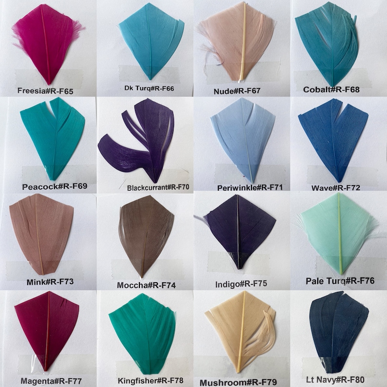 K&ouml;nnte beinhalten: Eine Sammlung von 15 Federn in verschiedenen Farben, darunter Freesie, Dunkelblau, Nude, Kobalt, Pfau, Schwarze Johannisbeere, Periwinkle, Welle, Nerz, Mokka, Indigo, Hellt&uuml;rkis, Magenta, Eisvogel, Pilz und Hellblau. Jede Feder wird auf einem wei&szlig;en Hintergrund mit ihrem entsprechenden Farbnamen und Code angezeigt.