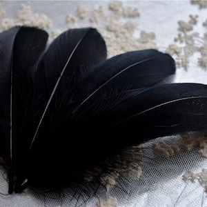 Black Dyed Natural Real Stripped Goose Feathers for Millinery Hat Making Materials Headpiece crafts Plume 10/25/50/75/100 PCS 5-6&quot; Length