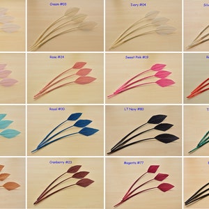 May include: A collection of 16 different coloured feathers, each with a unique number code. The feathers are arranged in four rows of four, with each row representing a different colour family. The feathers are all approximately 15 cm long and have a natural, slightly curved shape.