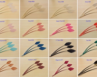 Piuma Naturale Tacchino 4 Pollici 50 Piume Per Frecce Da Arco Milaem 4 Pollici Naturali Ala G 239886