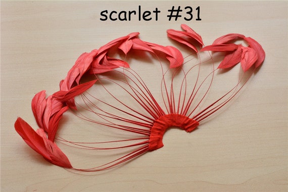 5 Piume Di Coque Striate Colorate: Piume Striate, Cappelli, Copricapo, Artigianato, Accessori Da Sposa - Italia