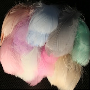 100 PCS Dyed Natural Real Stripped Goose Feathers Plume for Millinery Fascinators Hat Making Headpiece crafts DIY 2.3-4.7&quot; Length