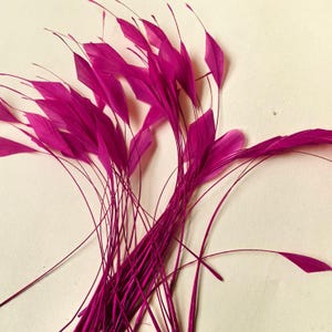 May include: A collection of vibrant fuchsia feathers, each featuring a slender, elongated quill and a small, pointed plume at the tip. The feathers are arranged in a loose, fan-like cluster, showcasing their bright pink colour and delicate structure.