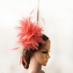 May include: A pink feather flower hair accessory. The flower is made of feathers and has a fluffy texture. The accessory is perfect for adding a touch of elegance to any outfit.