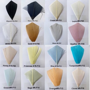 K&ouml;nnte beinhalten: Eine Sammlung von 16 Federn in verschiedenen Farben, darunter Schwarz, Marine, Creme, Elfenbein, Wei&szlig;, Gold, Silber, Heidekraut, Honig, Primel, Blau, T&uuml;rkis, Ozean, Salbei, Orange und Klee. Jede Feder wird auf einem wei&szlig;en Hintergrund pr&auml;sentiert.