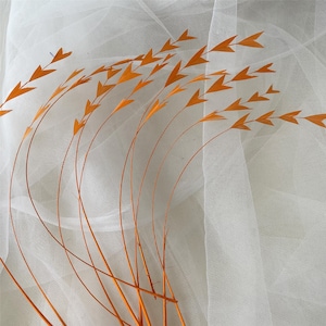 May include: A bunch of orange feathers arranged in a fan shape against a white sheer fabric background.