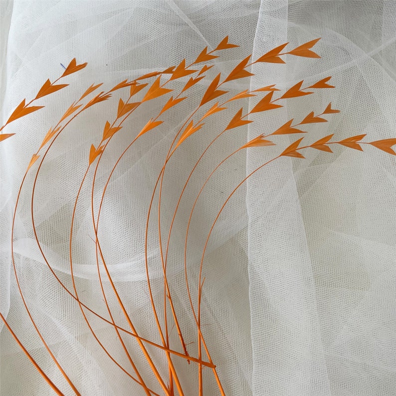May include: A bunch of orange feathers arranged in a fan shape against a white sheer fabric background.