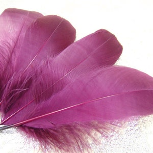 10 PCS Dyed Natural Real Stripped Goose Feathers for Millinery Hat Making Materials Headpiece crafts Plume Sewing DIY 5-6&quot; Length