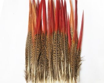 Natural Pheasant Feathers Golden Red Burnt Tipped Feathers Wedding Millinery Craft Costume 8-10 Inches