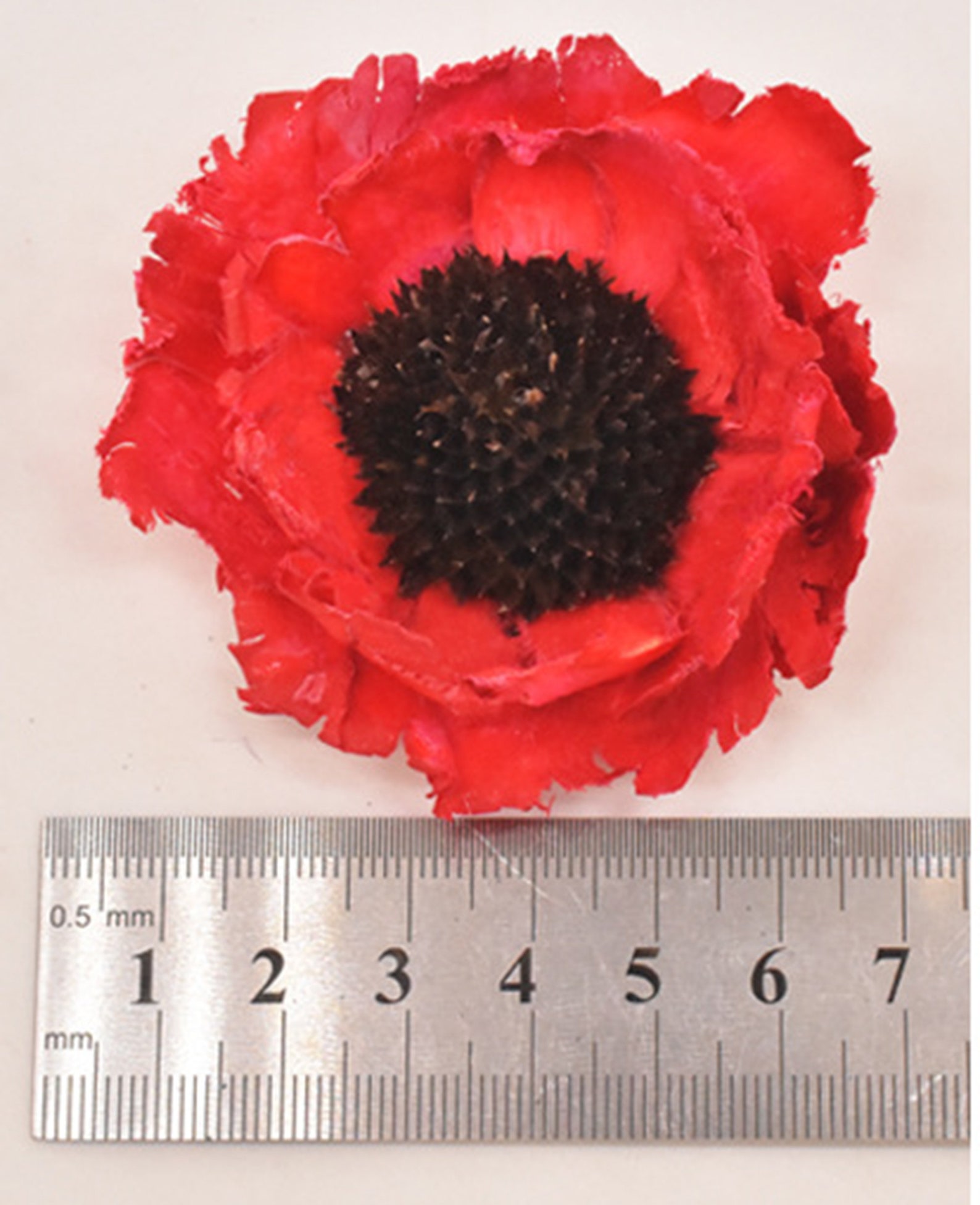 5 Branches Corn Poppy Dried Flowers Dry Nutshell Handmade Etsy