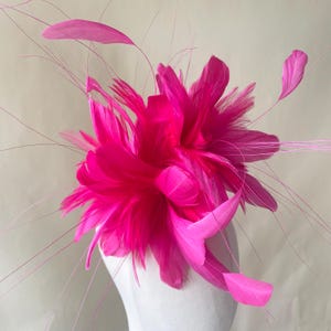 Può includere: Un affascinante fascinator fucsia, con un gruppo di grandi piume a strati e delicati accenti sottili. Il copricapo è progettato con una composizione floreale, ideale per occasioni speciali. Le piume creano un design dinamico e accattivante.