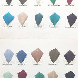May include: A color chart of 20 different feather samples, each labeled with a color name and code. The feathers are arranged in rows of five, with each row representing a different color family.