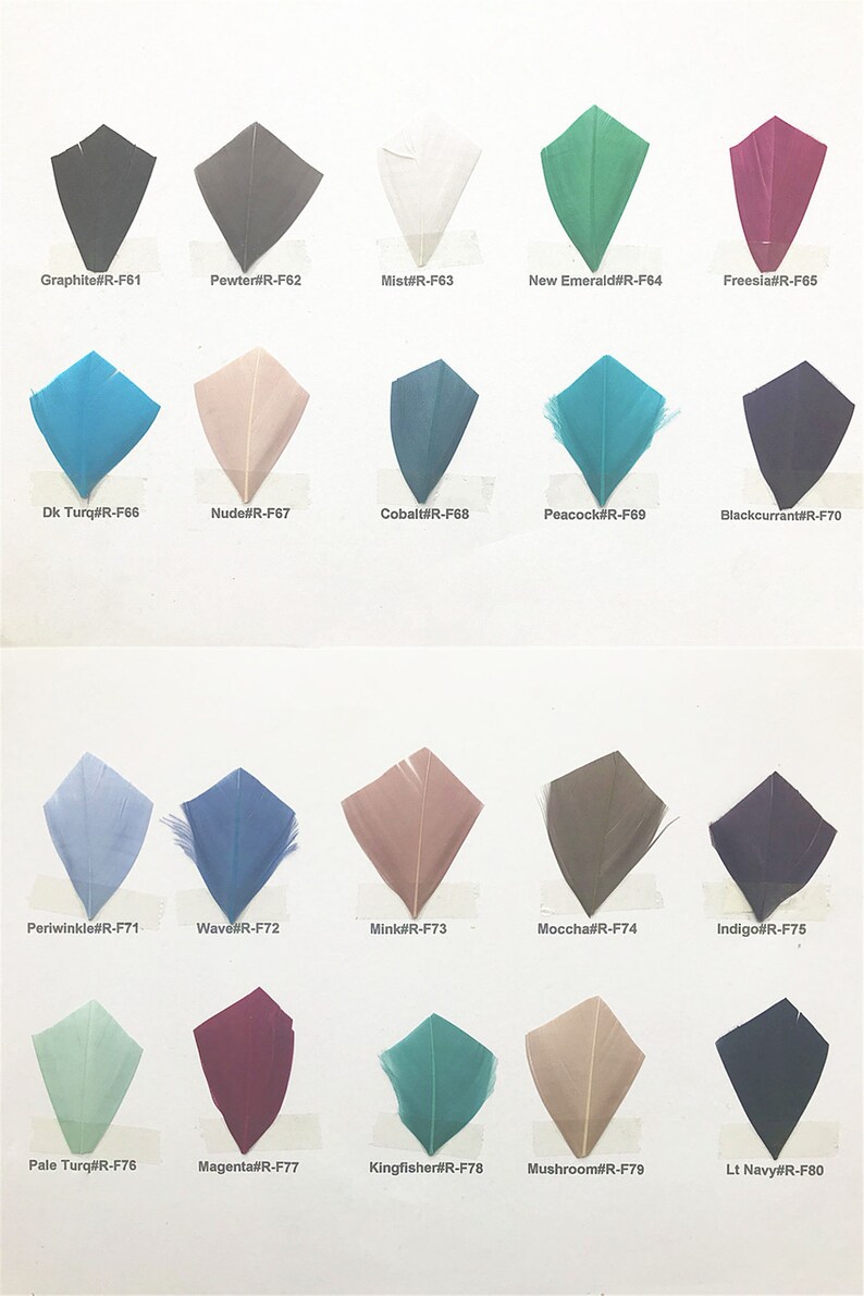May include: A color chart of 20 different feather samples, each labeled with a color name and code. The feathers are arranged in rows of five, with each row representing a different color family.