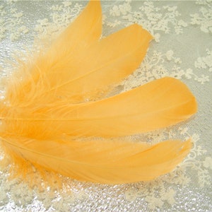 10 PCS Orange Dyed Natural Real Stripped Goose Feathers for Millinery Hat Making Materials Headpiece crafts Plume Sewing DIY 5-6&quot; Length