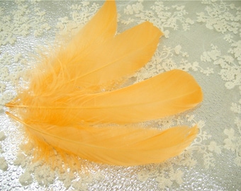 10 PCS Orange Dyed Natural Real Stripped Piume d'oca per Millinery Hat Making Materials Copricapo artigianato Pennacchio Cucito fai-da-te 5-6 "Lunghezza
