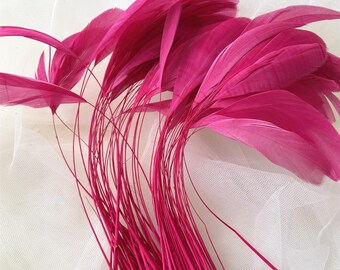 Raspberry Stripped Coque Feathers for DIY Millinery Plume Craft Hat Making Headpiece Dyed 5-7" 10/25/50/75/100 PCS