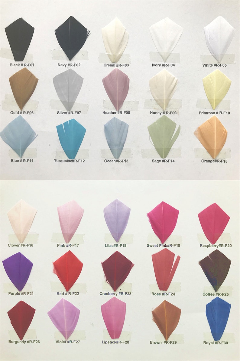 May include: A chart of 30 different colored feathers, each labeled with a color name and a code. The feathers are arranged in rows of five, with each row representing a different color family.