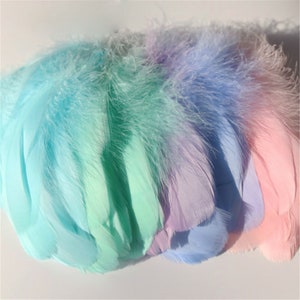 May include: A collection of pastel-colored feathers in shades of turquoise, mint green, lavender, light blue, and pink. The feathers are arranged in a fan-like pattern, showcasing their soft texture and gradient hues.