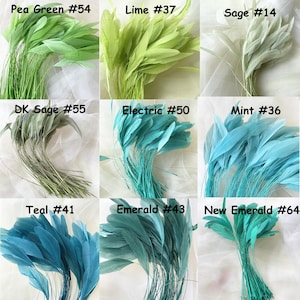 Green Natural Stripped Coque Feathers for Fascinators  Millinery Craft DIY Hat Making Headpiece  5-7"