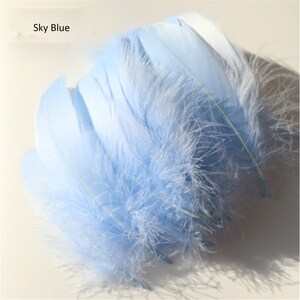 May include: A collection of sky blue feathers, with soft, fluffy textures. The feathers are a light, pastel blue color, with a delicate, wispy appearance. The text "Sky Blue" is visible in the upper left corner. These feathers are suitable for crafts and decorative projects.