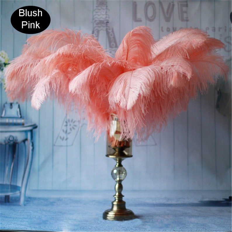 10Pcs/Lot Colorful Ostrich Feathers Long White Ostrich Feather Decor Vases Table