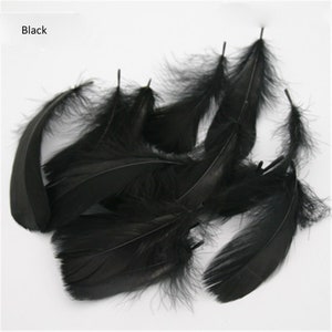 May include: A collection of black feathers, with a soft, fluffy texture. The feathers vary in size and shape, with a prominent central quill and delicate barbs. The word "Black" is in the upper left corner.
