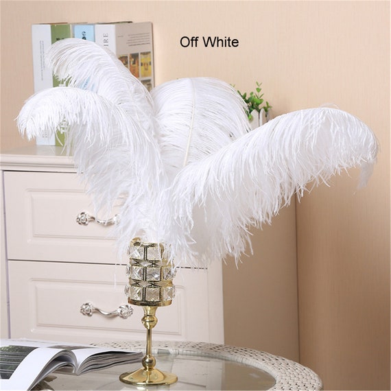 1pc/Pack Beautiful White Feathers For Diy Home Decorative Crafts