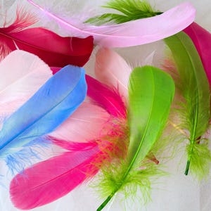 May include: A collection of assorted craft feathers in vibrant colours including bright pink, lime green, sky blue, and soft pastel pink. The feathers feature a central quill with soft, delicate barbs extending outward, creating a layered composition.