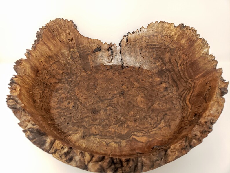 Live Edge Black Walnut Burl Bowl Etsy