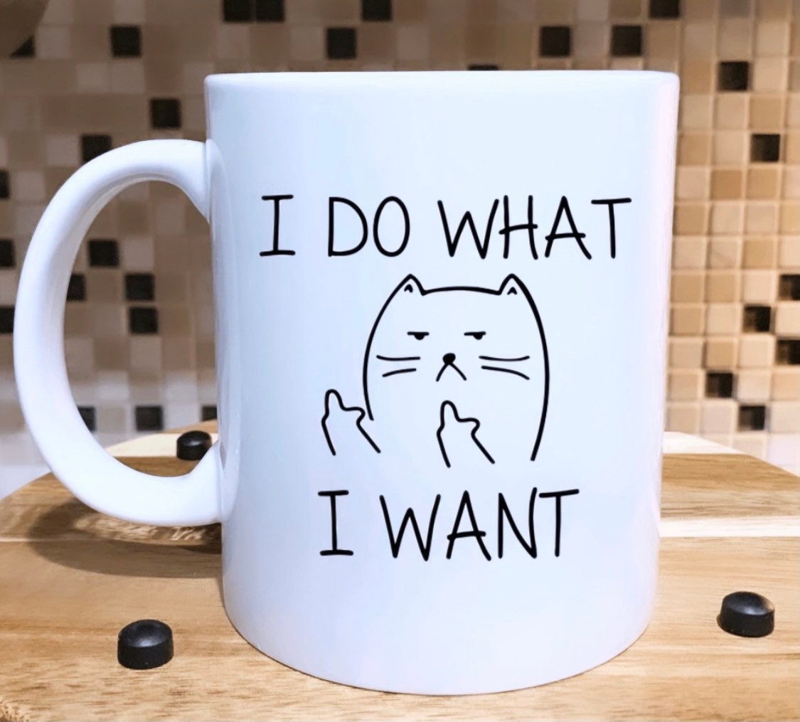 I Do What I Want Cat Funny Coffee Mug Cat Lovers Gift 