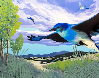 Mountain bluebirds, Okanogan Highlands