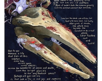 When a Whale Falls full Terra Affirma essay print