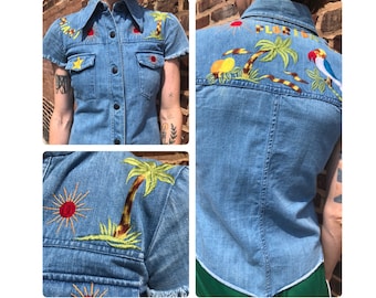 brutus jeans price