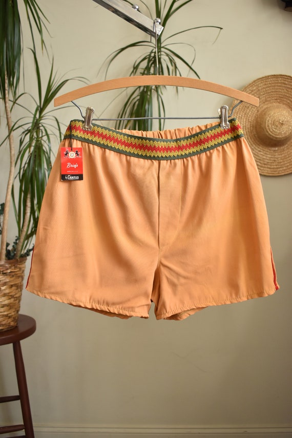 Vintage 50s 60s Deadstock Campus Swim Shorts // M… - image 2