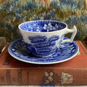 May include: A blue and white porcelain teacup and saucer with a floral design. The teacup and saucer are sitting on top of a vintage book titled "The Encyclopedia of Gardening" by T.W. Sanders.