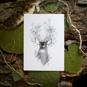 Botanical Stag Sketch Art Prints