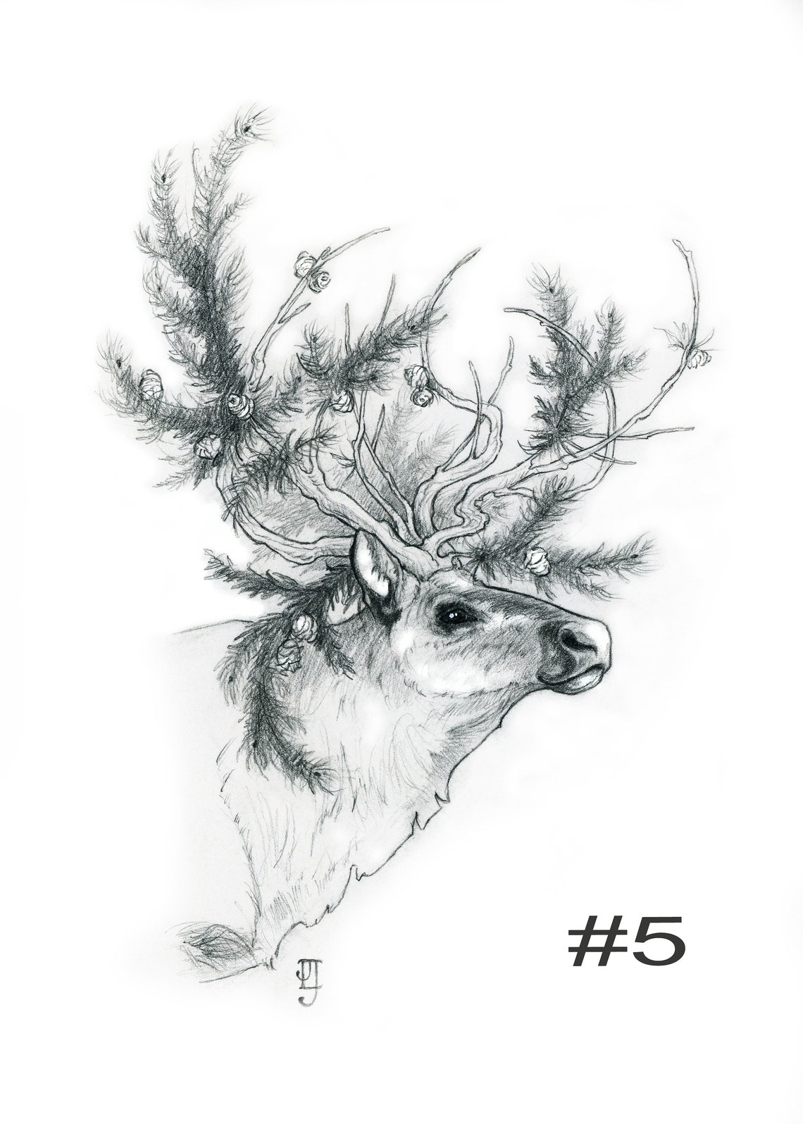 Botanical Stag Sketch Art Prints Etsy