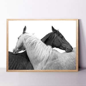 Horse Print, Horse Wall Art, Two Horses Poster, 24x36 Print, Equestrian Wall Decor, Black White Horse Equestrian Print, Farmhouse Wall Decor
