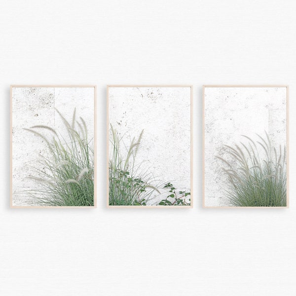 3 pièces Wall Art Emerald Green 24x36 Print Nature Triptych Texture Print Pampas Grass Botanical Print Green Wall Decor Flower Set of 3 Print